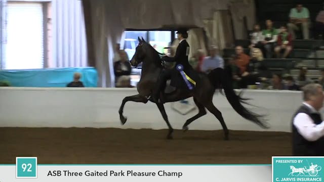 GASP17 - Diane's Charm - Championship