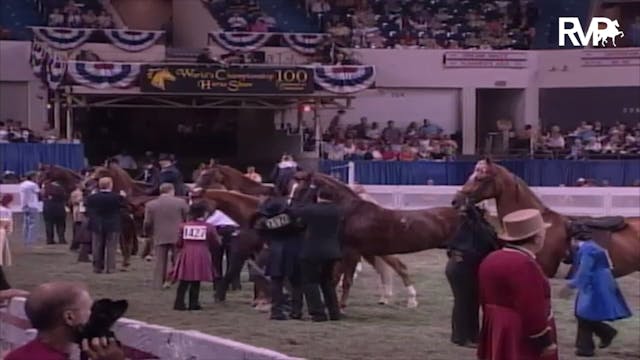 2003 WCHS Class 194 Junior Exhibitor ...