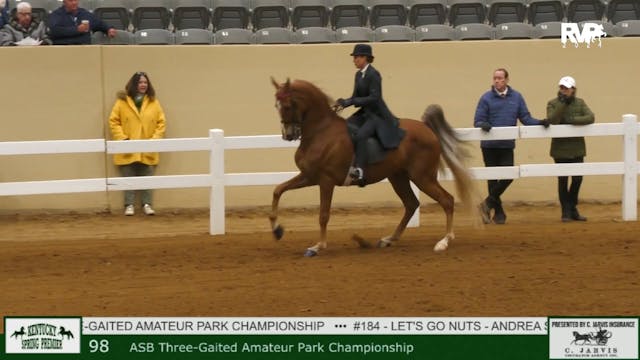 KYSP24 - Class 98 - ASB Three Gaited ...