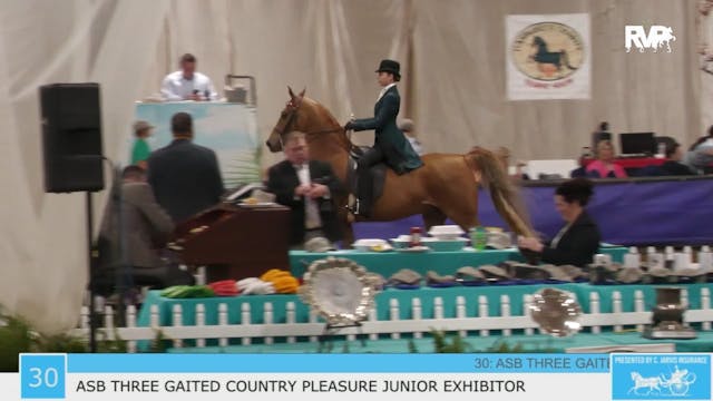 GASP23 - Class 30 - ASB Three Gaited ...