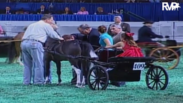 2009 World's Championship Horse Show ...