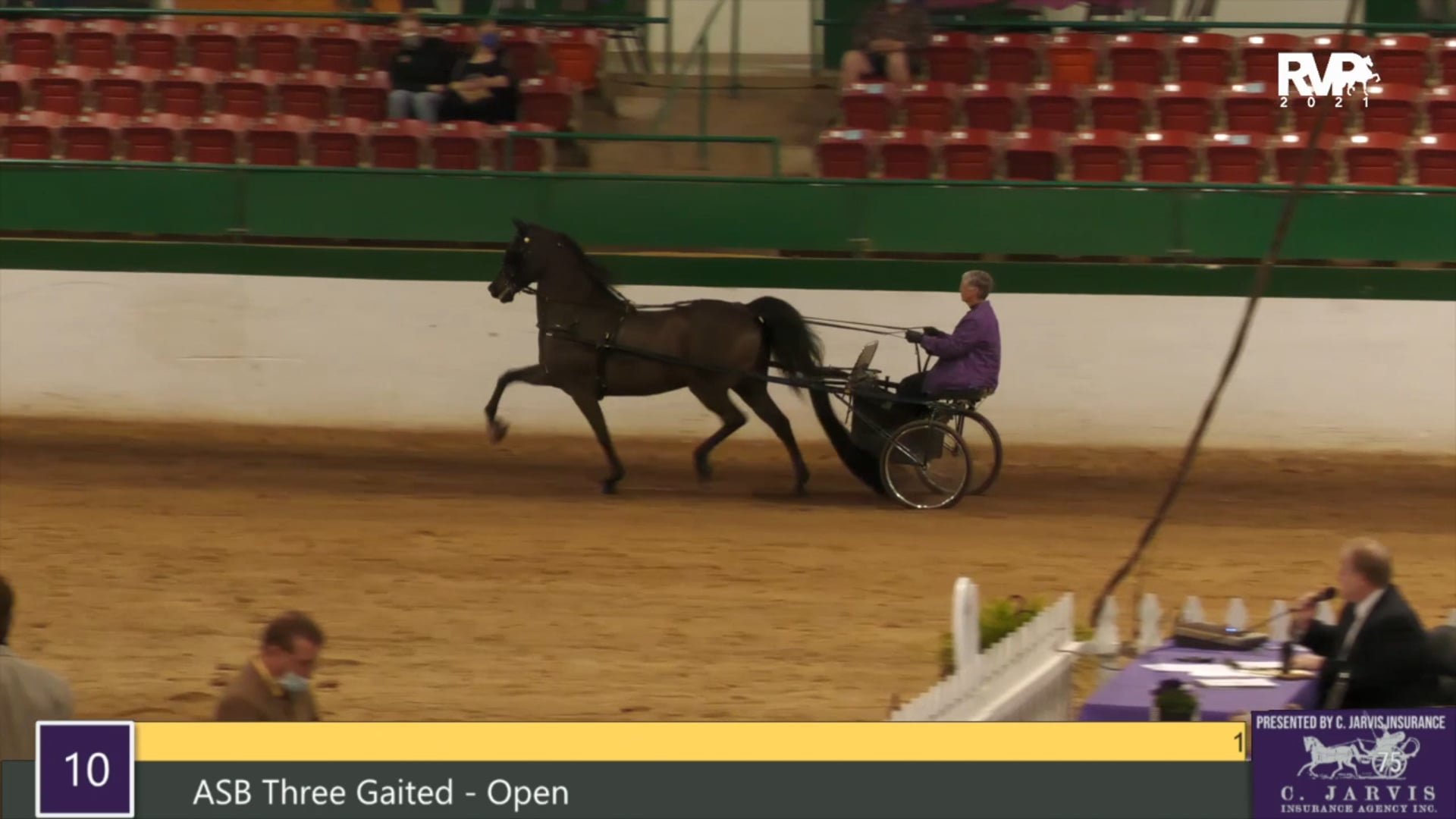 RSP21 - Class 11 - Morgan Classic Pleasure Driving
Open