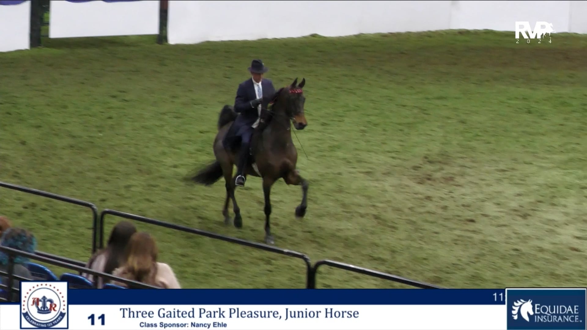 AR24 - Class 11 - Three Gaited Park Pleasure Jr Horse