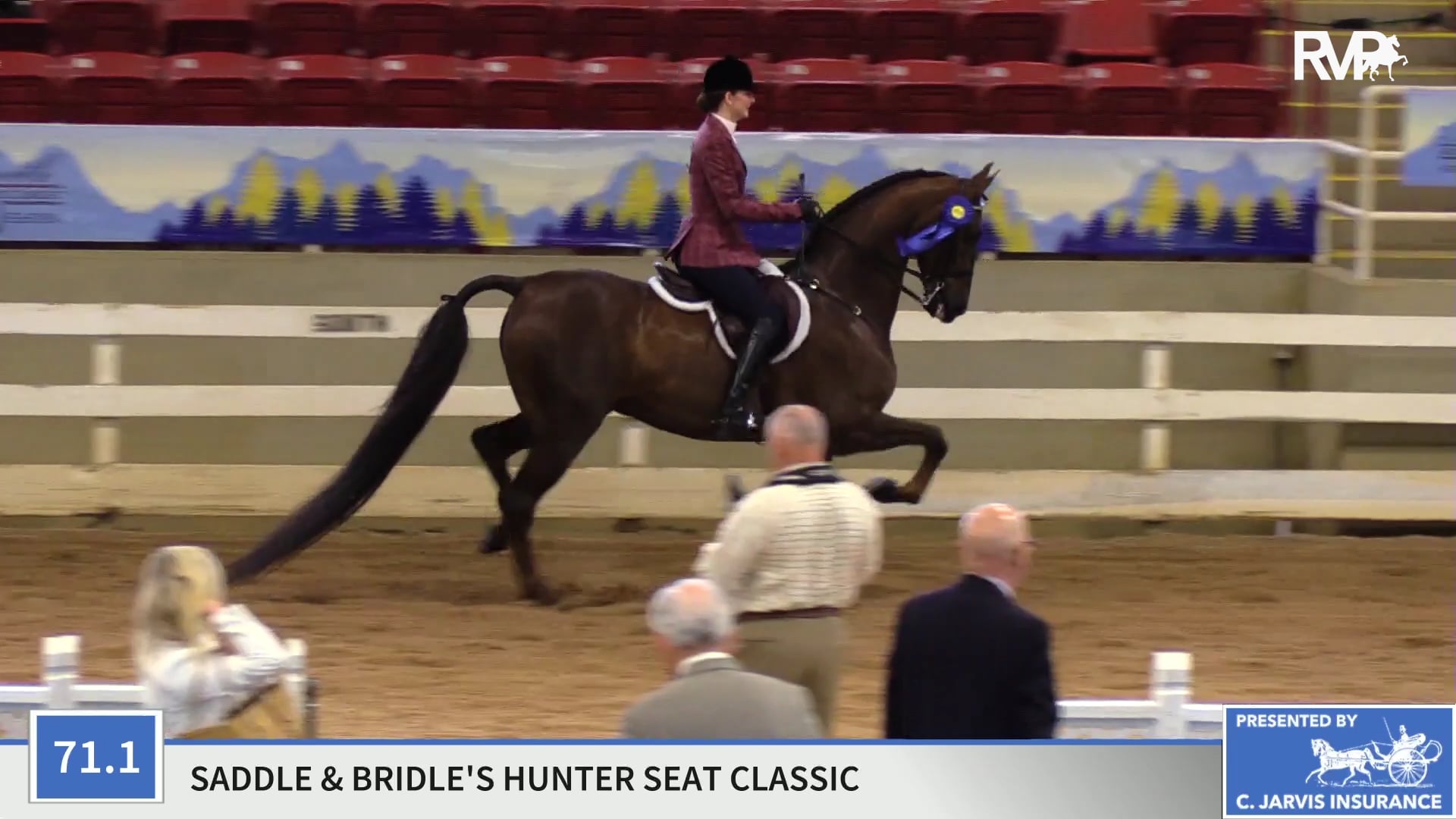 ASC19 - Class 71.1 - CH Lovin' Louie