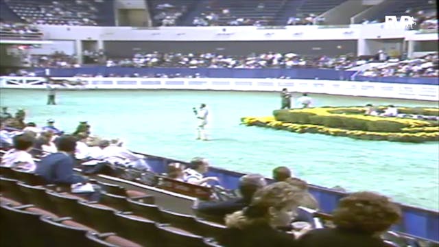 1991 WCHS Class 59 Roadster Pony Stal...