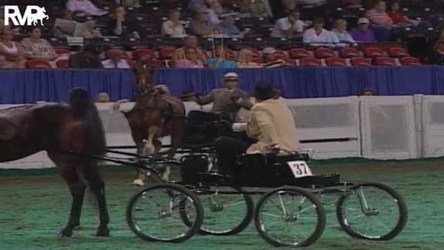 2004 World's Championship Horse Show ...