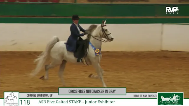 RSP26 - Class 118 - Crossfires Nutcra...