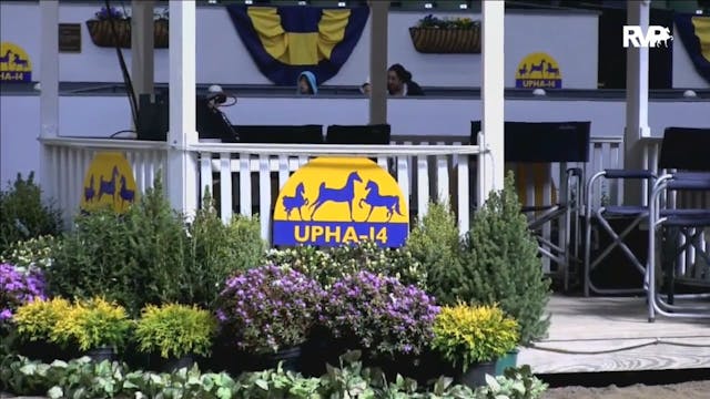 UPHA Ch14 2017 - Thursday Morning