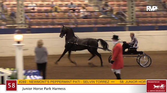 2020 JMHS - Class 58 Junior Horse Par...