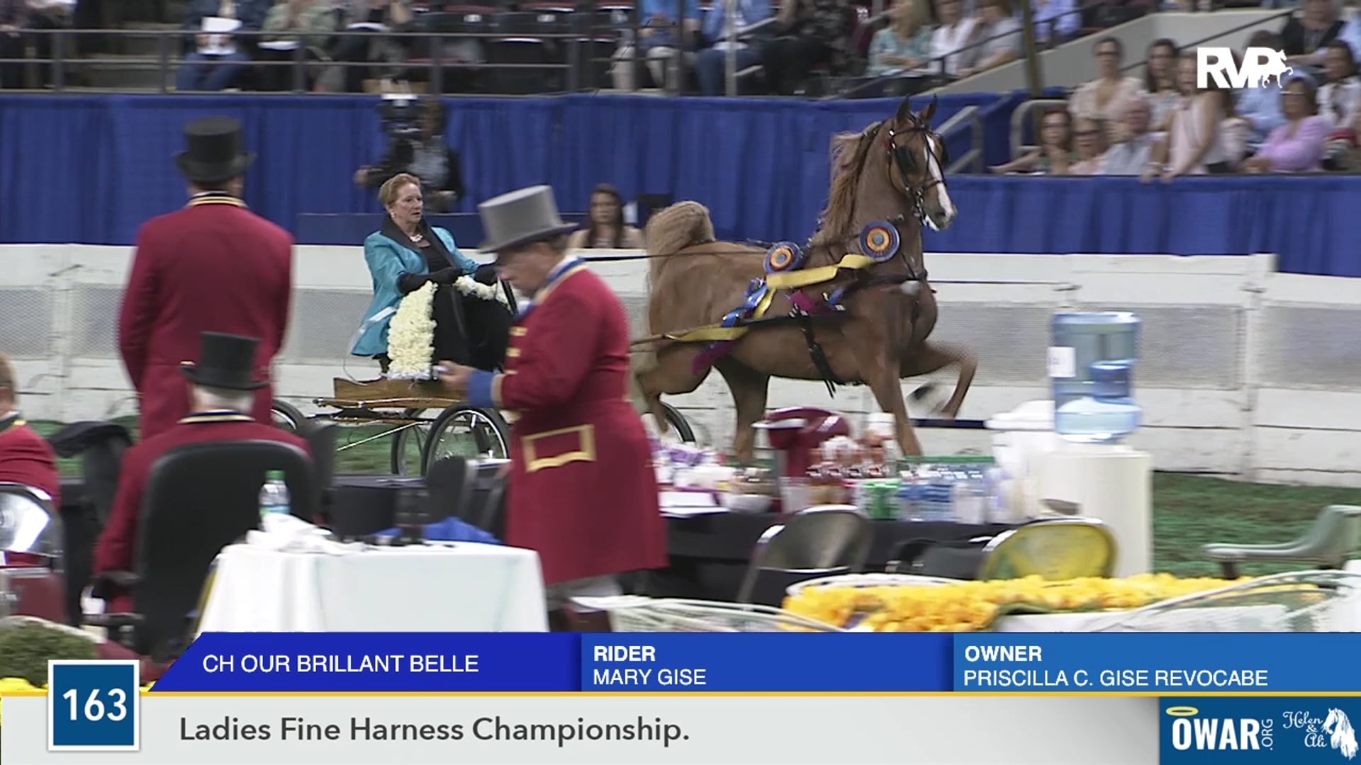 WCHS19 - Class 163 - CH Our Brilliant Belle