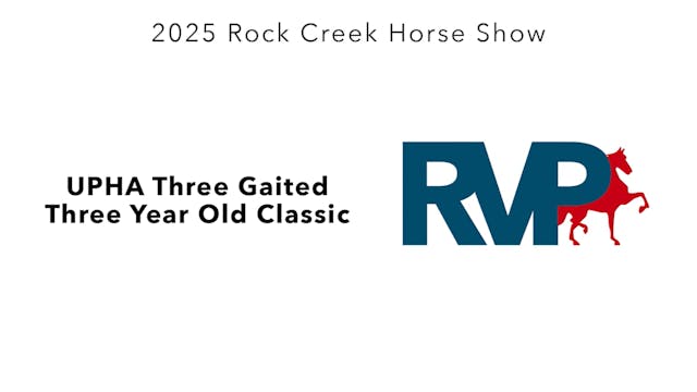 RC25 - Class 88 - UPHA Three Gaited T...