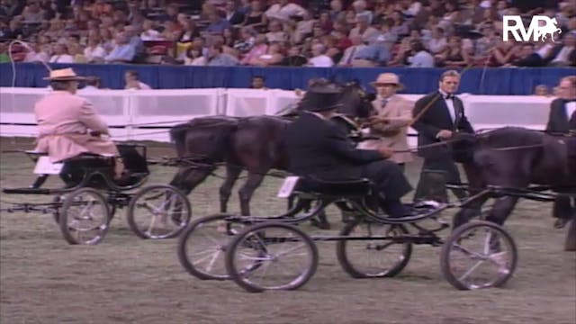 2003 WCHS Class 199 Hackney-Harness P...