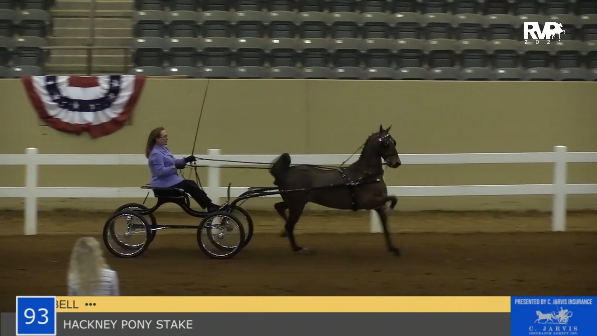 KYSP21 - Class 93 - Hackney Pony Stake 