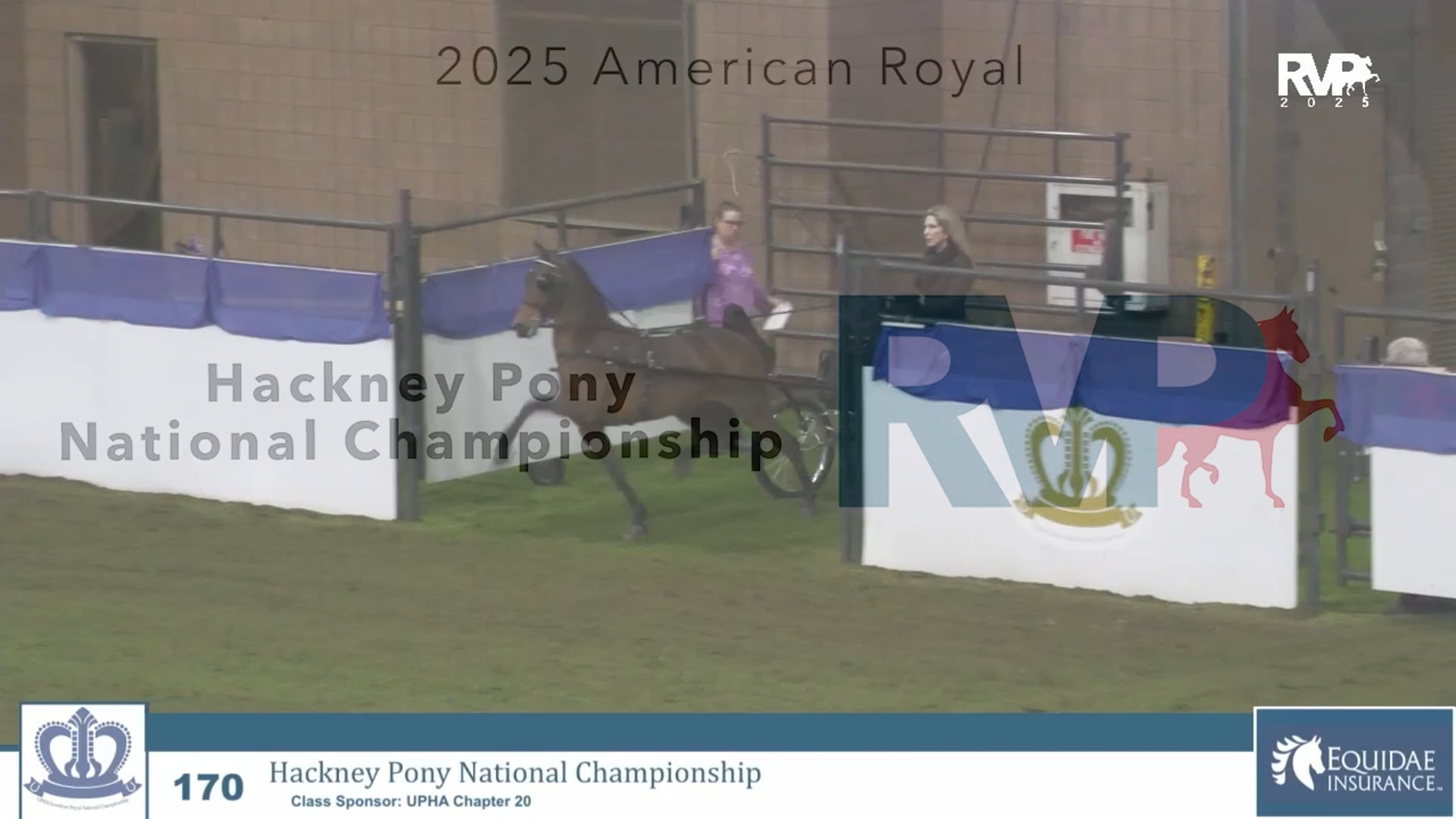 KC25 - Class 170 - Hackney Pony National Championship