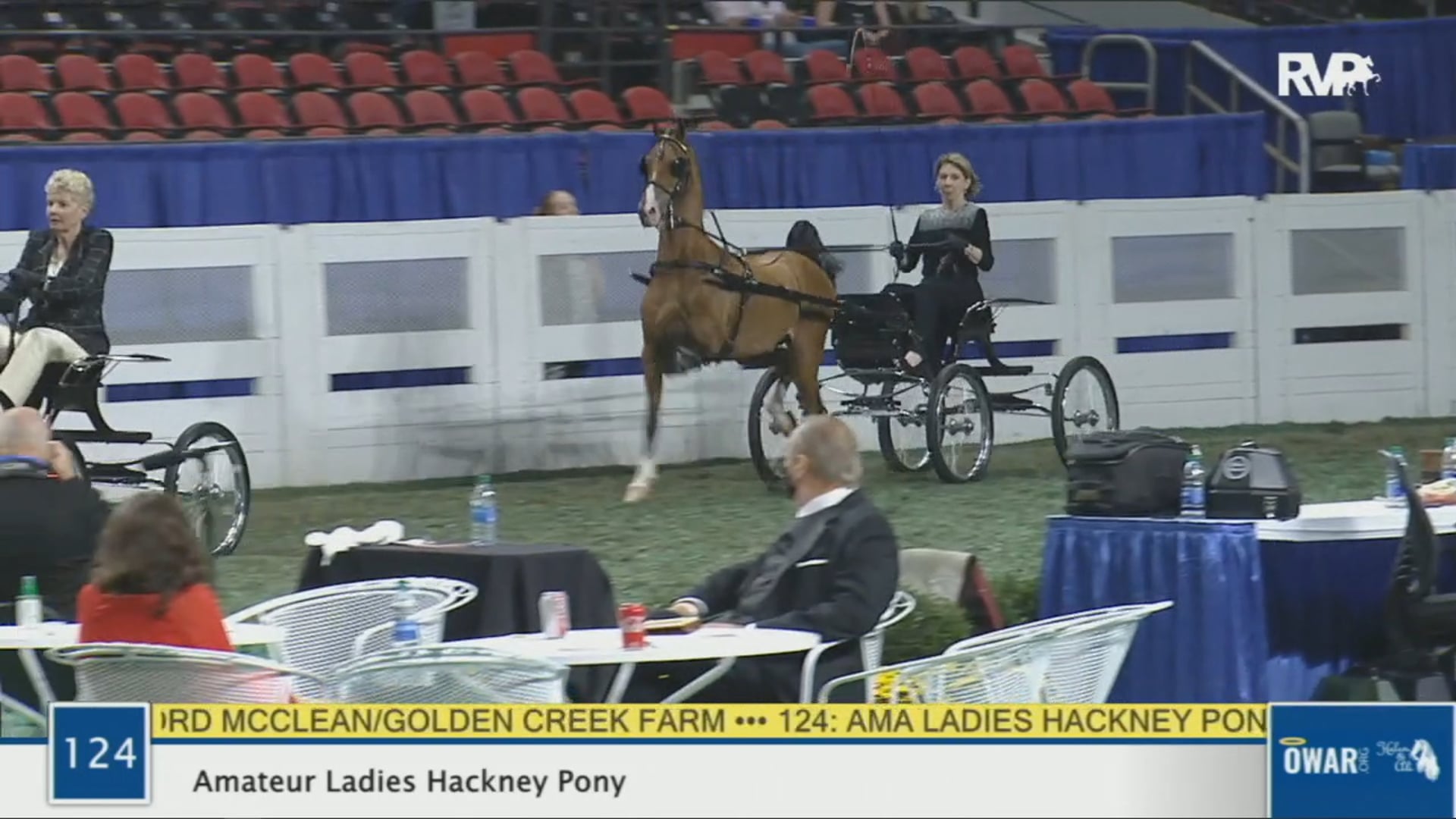 WCHS 2020 Class 124 - Amateur Ladies Hackney Pony
