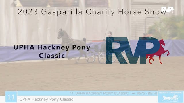 GASP23 - Class 11 - UPHA Hackney Pony...