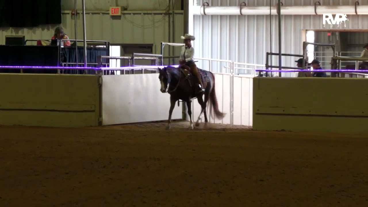 2025 Arabian Nationals - Sunday Afternoon - Mustang