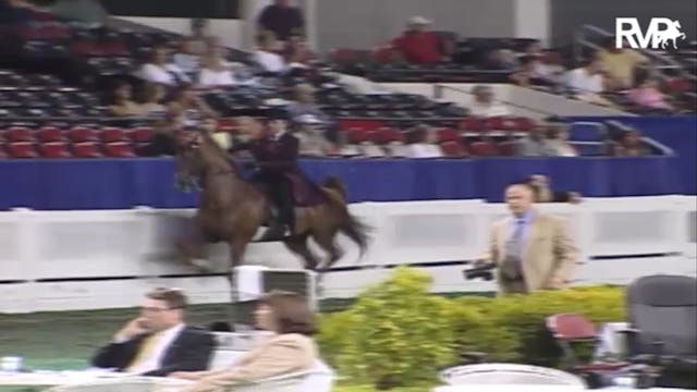 2007 WCHS Class 66 ASB Adult Five Gai...