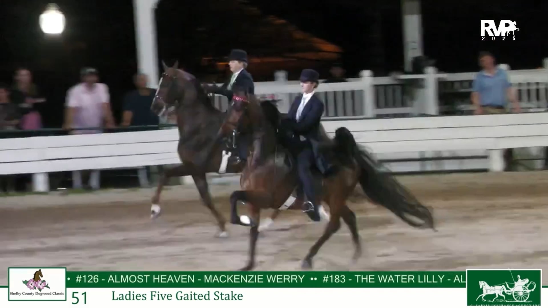 DC25 - Class 51 - Ladies Five Gaited Stake