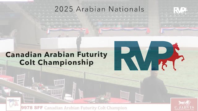 AN25 - Class 9978 - Canadian Arabian ...