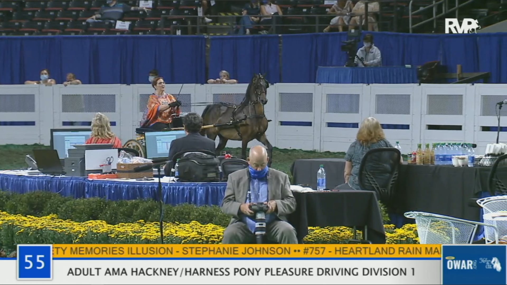 WCHS 2020 Class 55 - Adult AMA Hackney/Harness Pony Pleasure Driving Division I