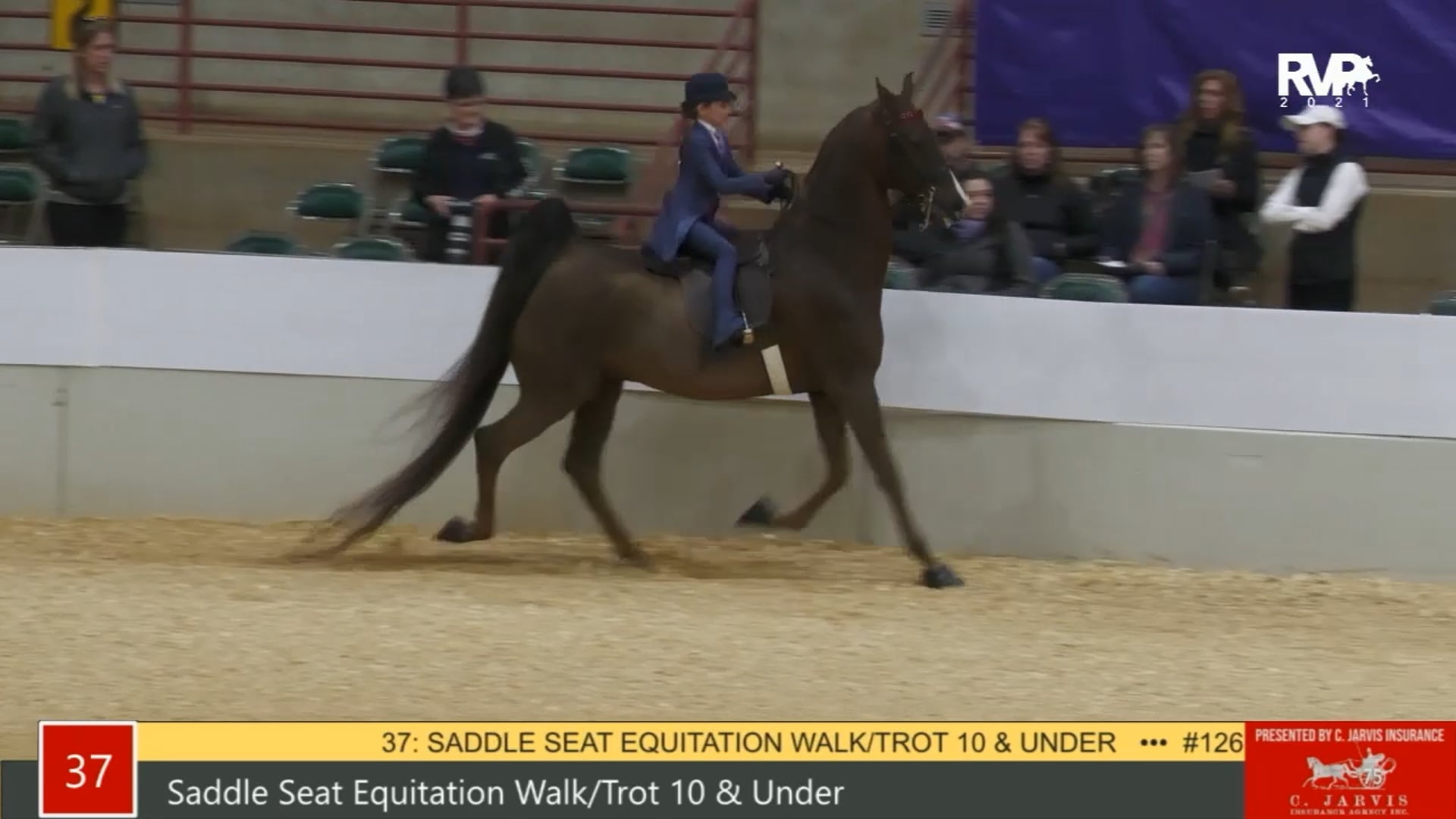 PA21 - Class 37 Saddle Seat Equitation, Walk-Trot, 10 & Under