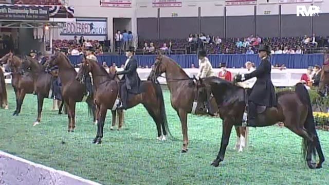 2010 World's Championship Horse Show ...