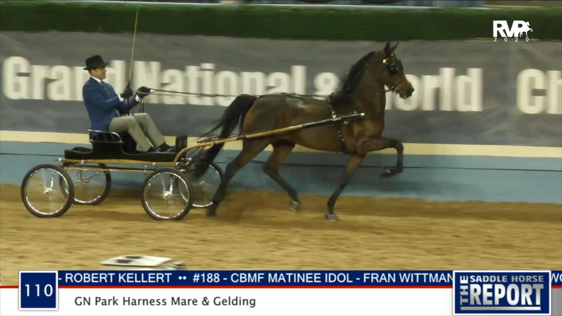 2020 MGN - Class 110 GN Park Harness Mare & Gelding