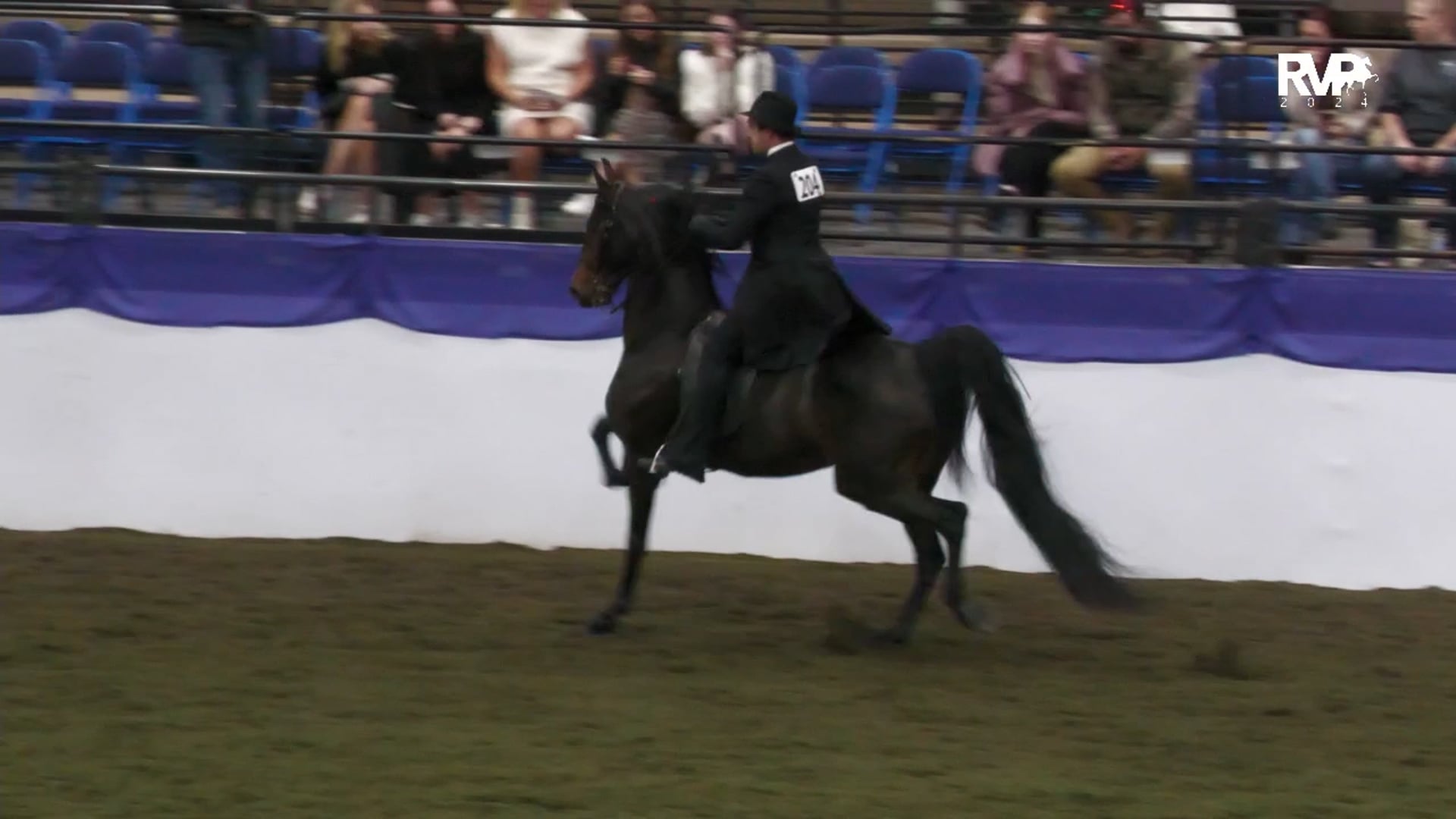 AR24 - Class 131.1 - Trainer's Equitation