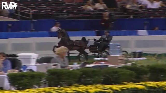 2004 World's Championship Horse Show ...