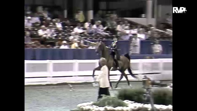 1997 WCHS - Class 58 Equitation Open ...