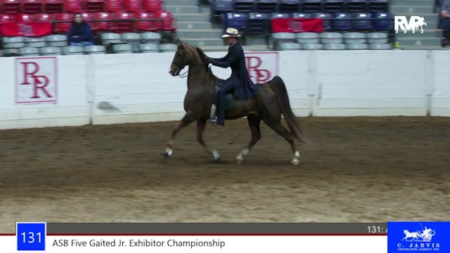 RR22 - Class 131 -  ASB Five Gaited J...