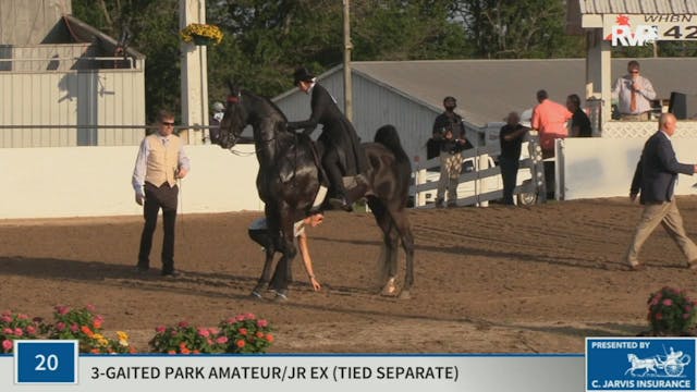 KYSP20 - Class 20 Three Gaited Park A...