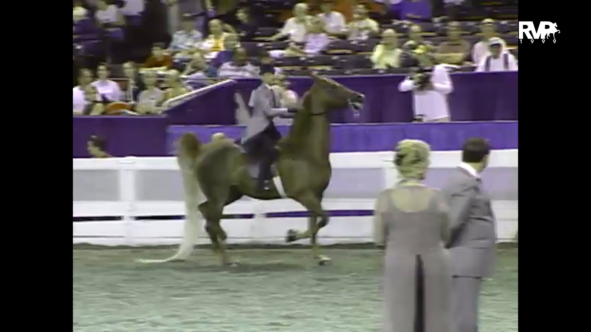 1999 WCHS - Class 207 ASB Three Gaited Show Pleasure Adult Championship