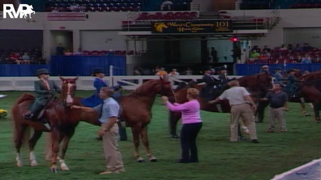 2004 World's Championship Horse Show ...