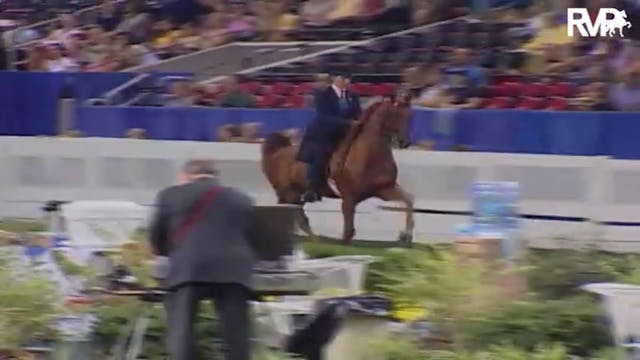 2004 World's Championship Horse Show ...