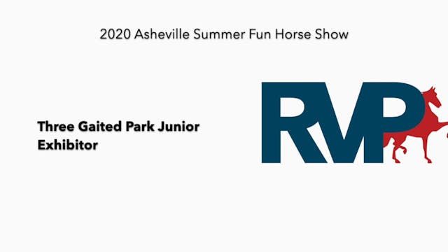 2020 ASF - Class 2 Three Gaited Park ...