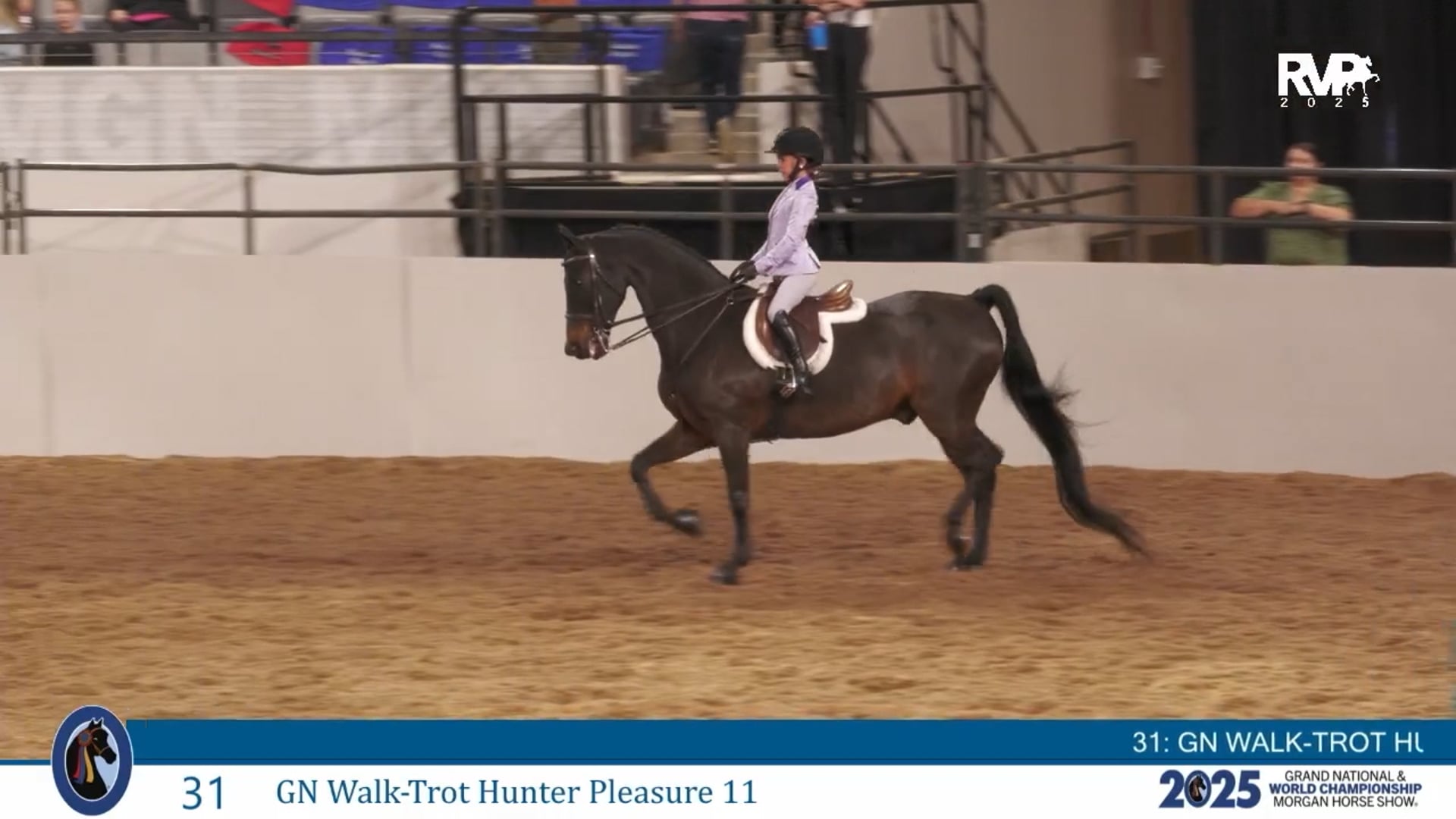 MGN25 - Class 31 - GN Walk-Trot Hunter Pleasure 11