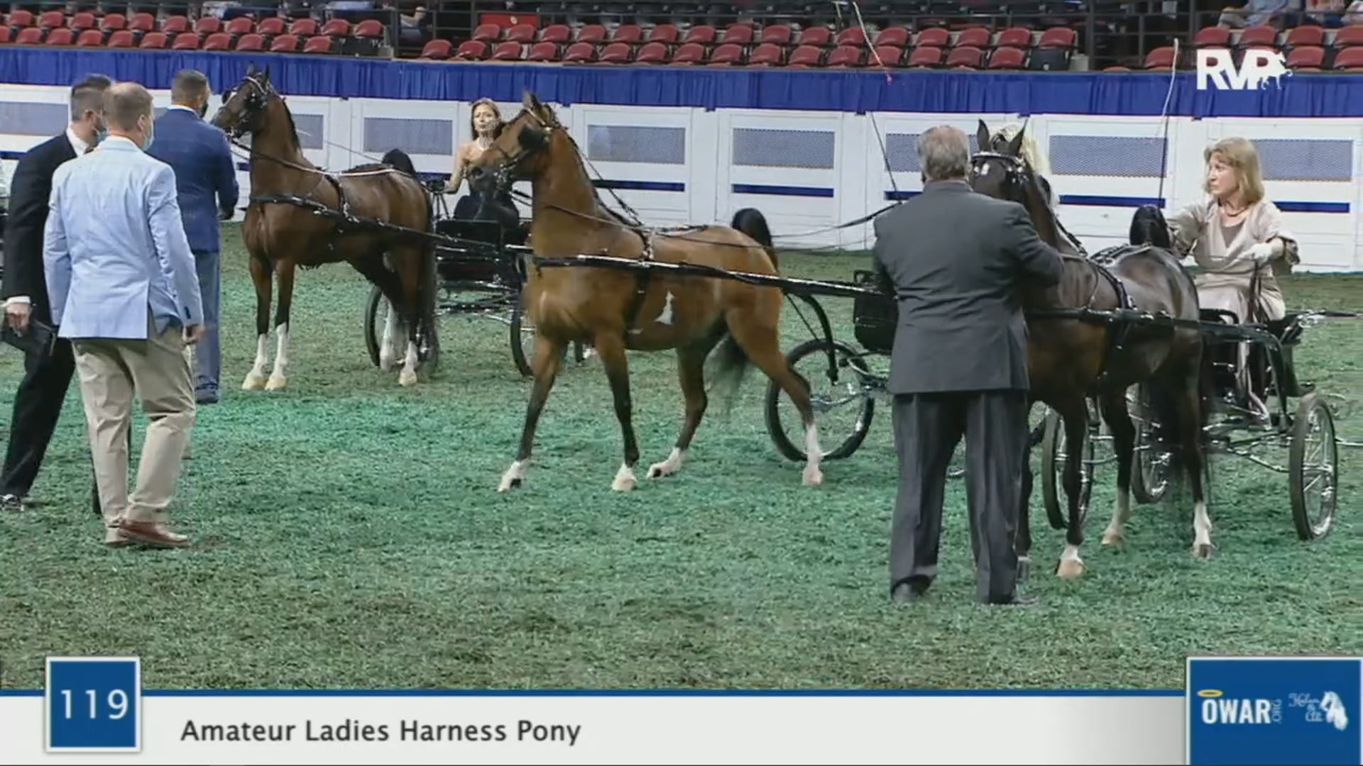 WCHS 2020 Class 119 - Amateur Ladies Harness Pony