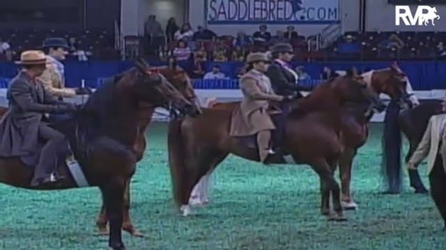 2009 World's Championship Horse Show ...