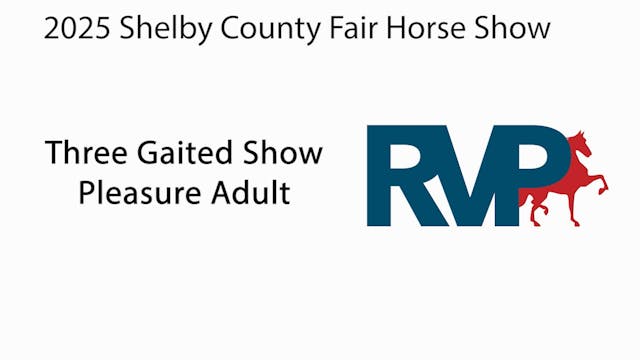 SCF25 - Class 7 - Three Gaited Show P...