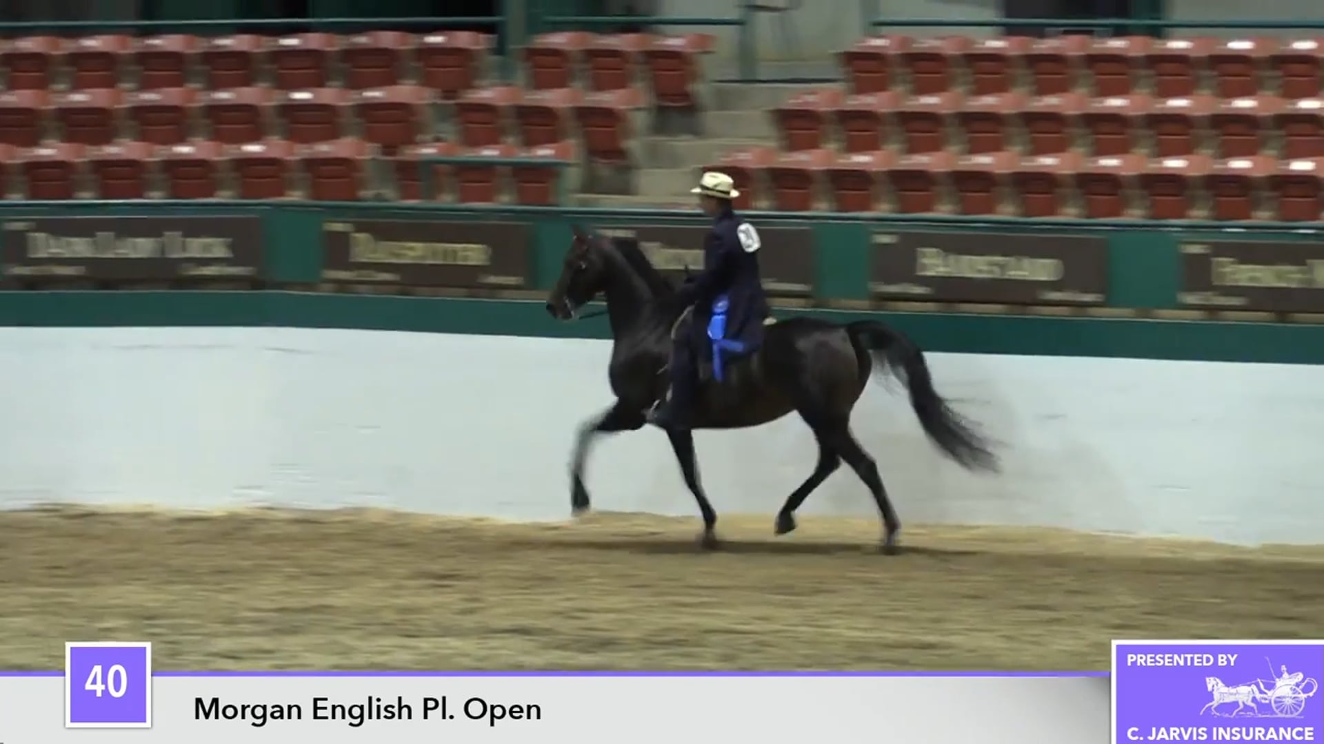 NCSC16 - Tara's American Flaire