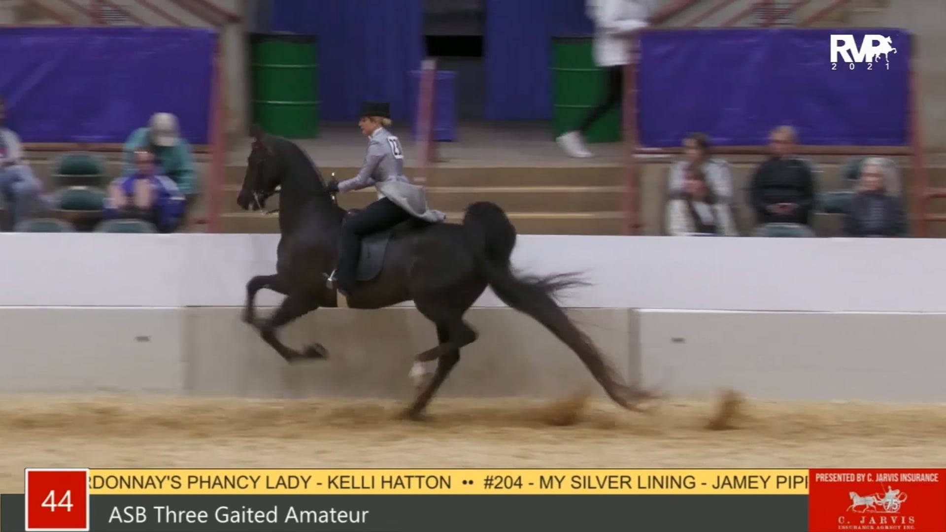 PA21 - Class 44 ASB Three Gaited Amateur