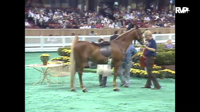 1989 WCHS Class 4 Kentucky Equitation...