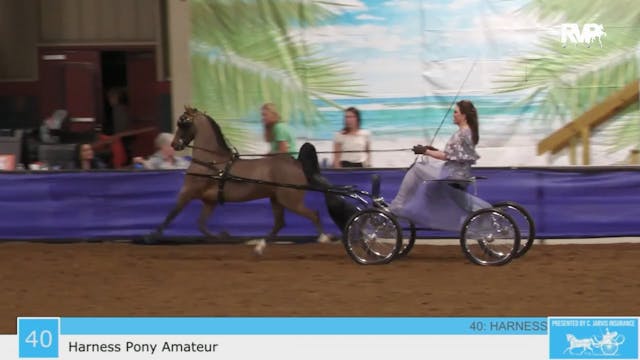 GASP23 - Class 40 - Harness Pony Amateur