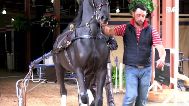 Southern Saddlebred Spring  2018 - Fr...