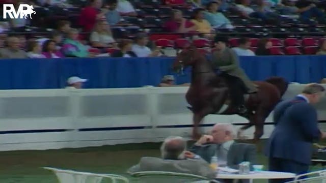 2004 World's Championship Horse Show ...