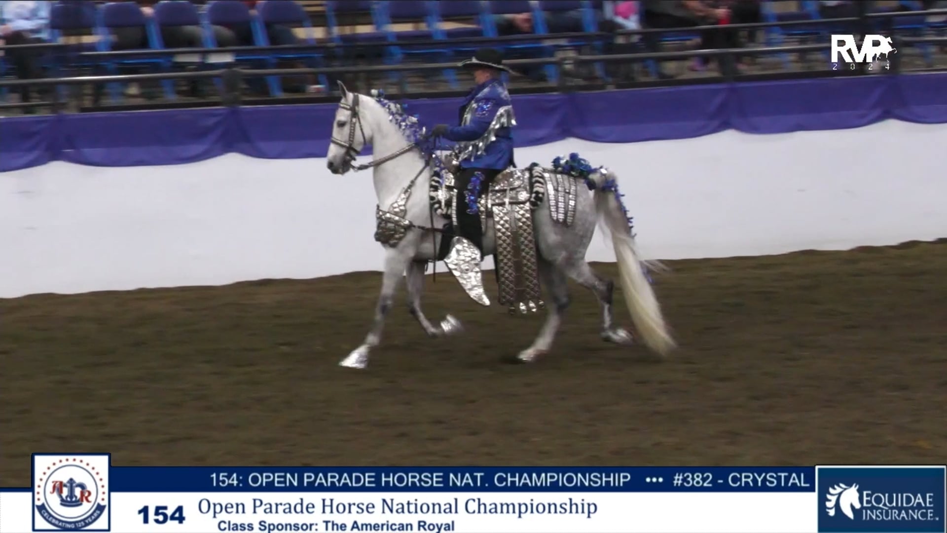 AR24 - Class 154 - Open Parade Horse National Championship