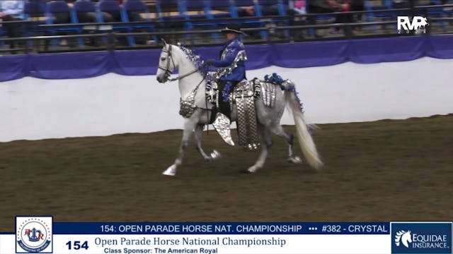 AR24 - Class 154 - Open Parade Horse ...