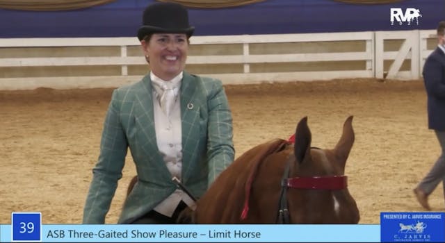 ASC21 - Class 39 - ASB Three-Gaited S...